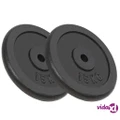 vidaXL Weight Plates 2 pcs 2x15 kg Cast Iron