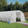 vidaXL Greenhouse with Steel Frame White 30 m² 10x3x2 m