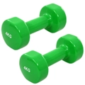 2x Dumbbell Cast Iron Green Exercise Fitness Free Weight Plate 8/10kg vidaXL