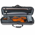 Axiom Symphony Series 4/4 Violin