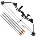 Adult Compound Bow with Accessories and Fiberglass Arrows vidaXL