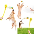 Interactive Ring Retractable Rope Ball Popular Dog Fun Toy Gift