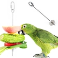 Stainless Steel Bird Parrot Cage Skewer Food Meat Stick Spear Fruit Holder