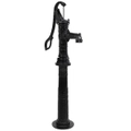 Garden Water Pump with Stand Cast Iron vidaXL