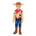Disney Woody Deluxe Toy Story 4 Dress Up Cowboy Costume w/ Felt Hat