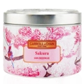 CARROLL & CHAN - 100% Beeswax Tin Candle - Sakura
