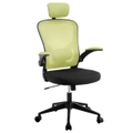 Advwin Ergonomic Mesh Office Chair Executive Chair High Back Seat with Headrest Green
