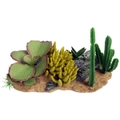 Reptile Decoration 30x16.5x17.5cm Succulent Garden with Resin Base by Reptile One