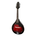 Electric Mandolin 8-String Guitar from Karrera
