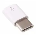 Raspberry Pi 4 USB Adapter, Female Micro USB To Male USB-C, White