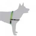 BlackDog Wear Black Dog Balance Harness Dog Training Mini - Xlarge Green