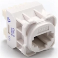 AMDEX FP-C6-005 Jack for AMDEX Face Plates. AMDEX style. White Colour. Recommend for use with RJ45 plugs only. T568A Wiring Only. [FP-C6-005]