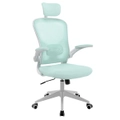 Advwin Executive Mesh Office Chair Ergonomic Seat High Back Adjustable Headrest Armrest Blue