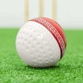 FORTRESS Reverse Swing Cricket Balls
