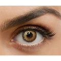 BEAUTY TONE GLITTER GOLDEN BROWN CONTACT LENS - One year usage