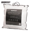 Morrissey Down Alternative 1100g European Pillow