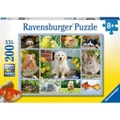 Ravensburger My First Pet Puzzle 200 XXL