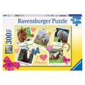 Ravensburger Favourite Horses Puzzle 300 XXL