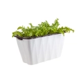 SOGA 35cm Small White Rectangular Flowerpot Vegetable Herb Flower Outdoor Plastic Box Garden Decor