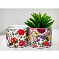 Mini Colourful Flowerpot - PICK UP ONLY