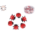 Miniature Ladybug