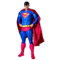 Superman Collector's Edition Costume for Adults - Warner Bros DC Comics
