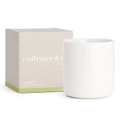 Cadence & Co. Overture Energise: Lemongrass & Eucalyptus Scented Natural Soy Candle 300g