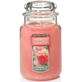 Yankee Candle Classic Sun-Drenched Apricot Rose Large Jar 623g