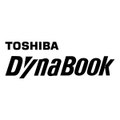 Toshiba Dynabook Performance Micro SDHC Card CLA1 - 256GB [OA1225A-PHEA]