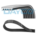 Dayco Poly V-Belt for Audi A3 8P 1.6L Petrol BGU, 01/08 - 12/10