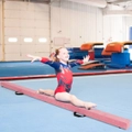 Costway 7FT Gymnastic Beam Floor Balance Beam w/Handles/Wood Base/Anti-slip Bottom Pink