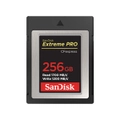 SanDisk Memory Card 256GB CFexpress [SDCFE-256G-GN4NN]