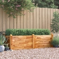 Garden Raised Bed 160x60x44 cm Solid Wood Acacia vidaXL