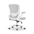 Eureka OC06 ONYX Ergonomic Home/Office Chair GY [ERK-OC06-GY]