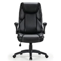 Eureka OC11 Ergonomic Office Chair Black [ERK-OC11-B]