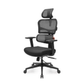 Eureka OC12 Pro Ergonomic Home/Office Chair - Black [ERK-OC12-B]