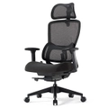 Eureka OC15 Lark Adjustable Lumbar Chair Black [ERK-OC15-B]