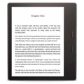 Amazon Kindle eReader Oasis 8GB WiFi - Graphite (7" High Resolution Display 300ppi) with adjustable warm light [B07L5GDTYY]