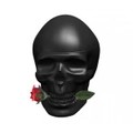 Ed Hardy Skulls And Roses Men By Christian Audigier 75ml Edts