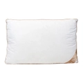 Bas Phillips Infinite Luxury Premium Loft Pillow