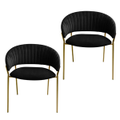 HomeStar Set Of 2 Lex Velvet Fabric Dining Chair W/ Brass Gold Legs - Black