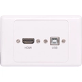 Dynalink USB B HDMI Wallplate Dual Cover with Socket Flyleads