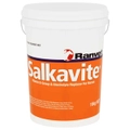 Ranvet Salkavite Horses Vitamin B Group & Electrolyte Replacer - 3 Sizes