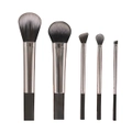 5 Pc All In One Makeup Brush Set Multi Task Brushes Silver