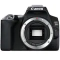 Canon 250D Black - BRAND NEW