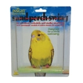 JW Pet Insight Sand Perch Swing for Small Birds - 2 Sizes