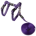Rogz Alleycat Adjustable Cat Harness & Lead Set Purple - 2 Sizes