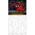 Spiderman Party Supplies Hero Doorway Curtain