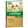 Advantage Small Dog 0-4kg Green Spot On Flea Treatment - 3 Sizes
