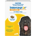 Interceptor Spectrum 11+ Kilos Medium Dogs Tasty Treat Yellow Chew - 2 Sizes